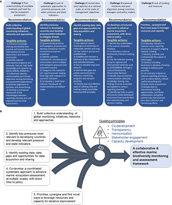 A Roadmap to Advance Marine and Coastal Monitoring, Biodiversity Assessment, and International Reporting: A Developing Nation Perspective